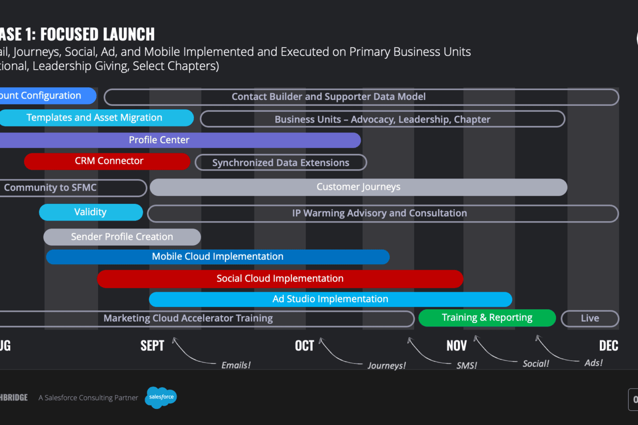 Salesforce Project Roadmap and Vision