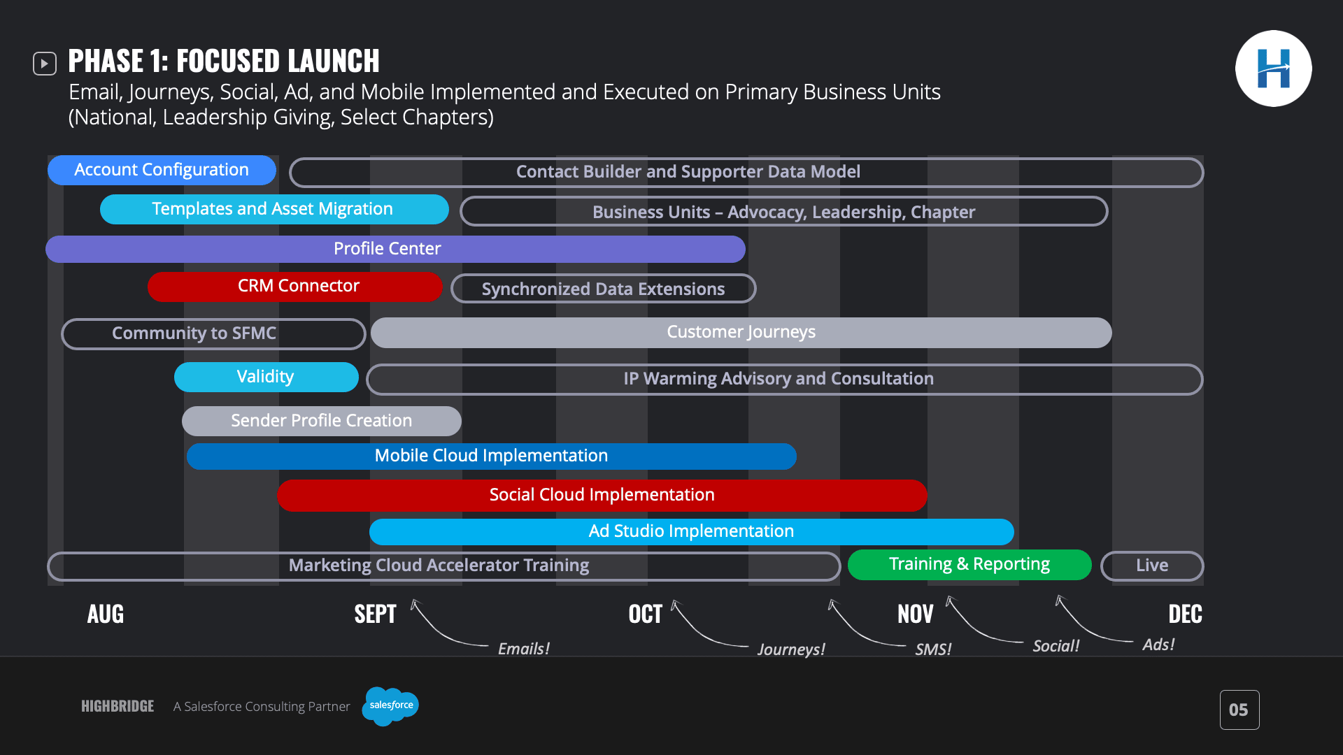 Salesforce Project Roadmap and Vision